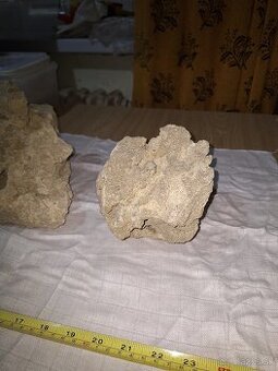 štrk / substrát / tanganika stone