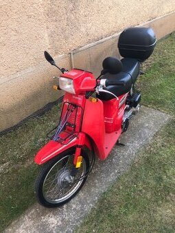 HONDA SCOOPY
