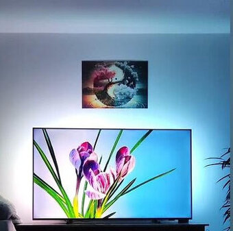 Philips 65PUS8007  65 palcov / Android TV 4K / Wifi
