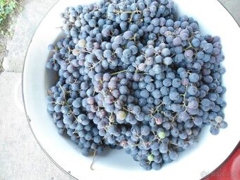 hrozno