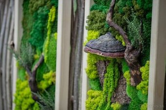 🌿 Machové obrazy na mieru – príroda vo vašom interiéri