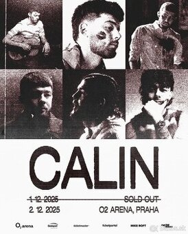 Calin koncert 2.12