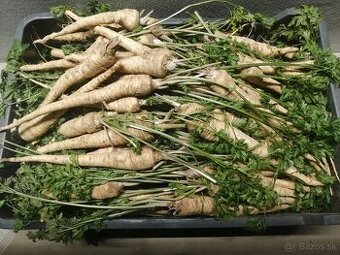 Petržlen,Cesnak a Med