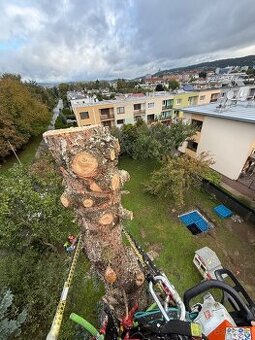 Výrub stromov a rizikové pílenie stromov