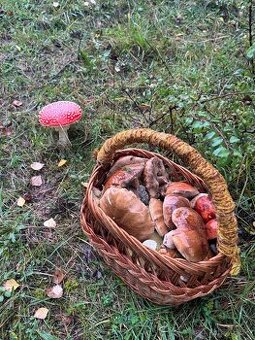 Dekorácia ,ingrerdiencie suchučke a vonave.