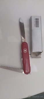 ictoinoxy noziky sjaciarske