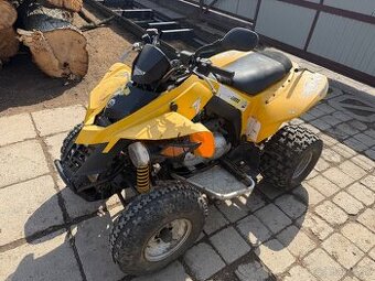 Can am ds250