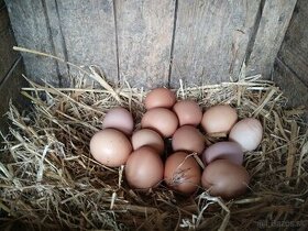 Domáce vajíčka