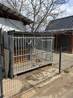 Voliera pre psa