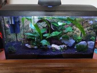 Akvarium
