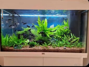 Akvárium Juwel 125l