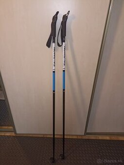 Palice na bežky Salomon 125 cm JR