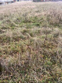 Predaj : Stavebný pozemok  v obci Makov (125-P)