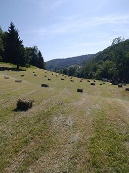 Balikované seno