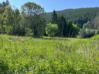 TRIOREALITY- Stavebný pozemok Makov-Čierne (so stavebným pov