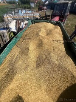 Predám jačmeň úroda 2025