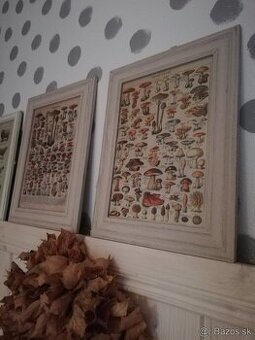 Sada vintage obrázkov Hríby / Zelenina...