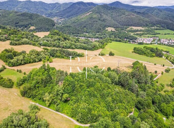 Na predaj  rekreačny pozemok  Skubín