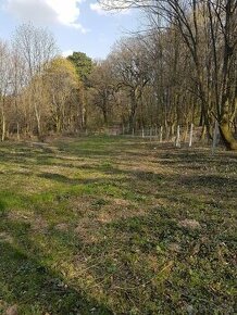 Záhradný pozemok v lese pod Smolenickým zámkom - 1