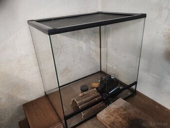 Terarium