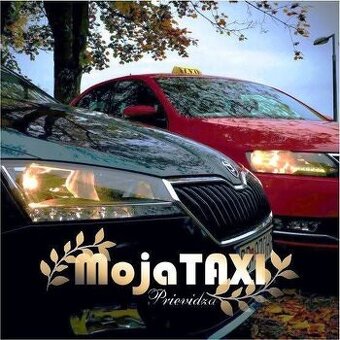 Vodič taxislužby v Prievidzi