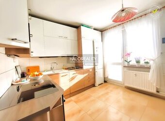 HALO reality - Predaj, trojizbový byt Nová Dubnica, Janka Kr