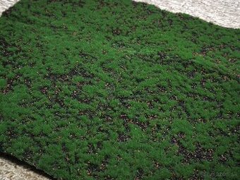 Umelá tráva a mach  pre modelárov