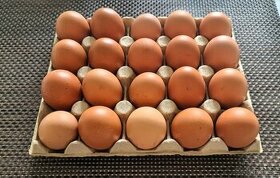 domáce vajcia/domáce vajíčka - 30 ks - 1