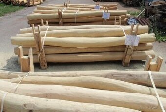 Agátové koly – odbelené, brúsené, jadrové drevo