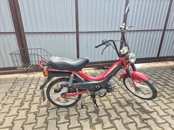 Manet Korado - 1