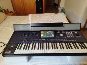 Korg PA5x 61 muzikant