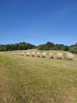 seno okruhle baliky kvalita ☘️☘️☘️