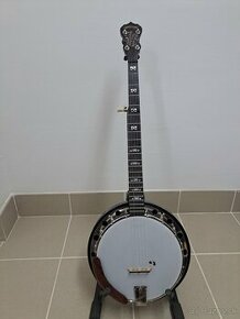 Deering Goodtime special banjo