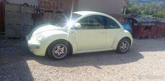 New beetle