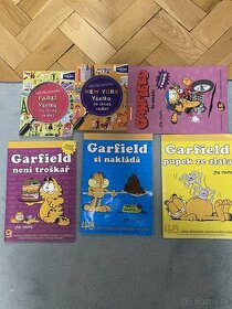 Komiks Garfield a iné
