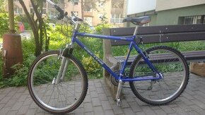 Bicykel VECTOR - 1