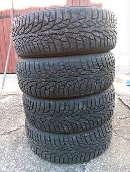 Zimné Nokian 205/55 R16