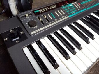 Predam Korg Poly 800