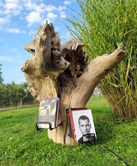 Sveťelní koreň - 1