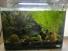 Predam akvarium Dennerle zaoblené rohy (45x30x36cm)