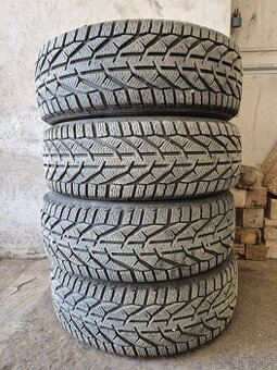 Orium Winter 205/60 R16 92H