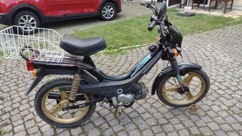 Korado 216