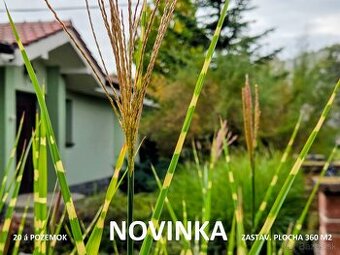 rodinný dom / vila MASLOVCE ( ČENKOVCE / OĽDZA ) 20 á pozemo - 1