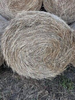 Predam balikovane seno pre kone, kozy, ovce