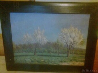 Obraz, rozkvitnutý sad