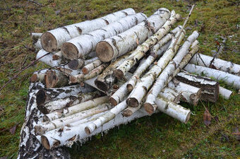 Drevo do krbu a kachlí mäkké aj tvrdé