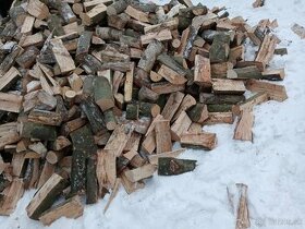 Palivové dreva