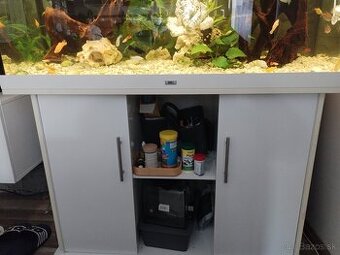 akvarium