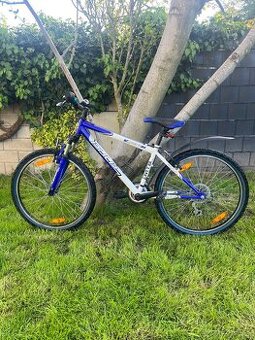 Bicykel MTV Vapor 24