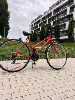Damsky bicykel Author Thema